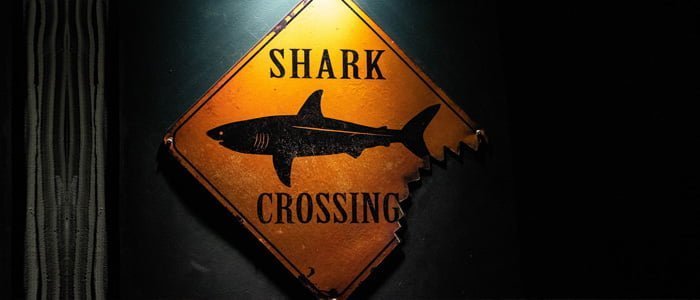 کشف بدافزار با نام  SharkBotتوسط گوگل پلی