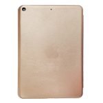 کیف اسمارت / تبلت اپل iPad mini 5